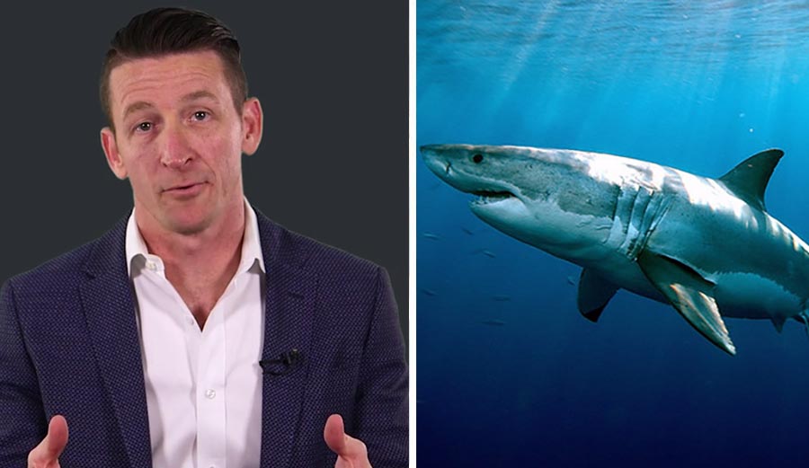 navy SEAL talks about shark attacks