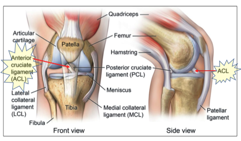 Andrew Cotton tore his ACL in Chile during the Punta Galea contest.