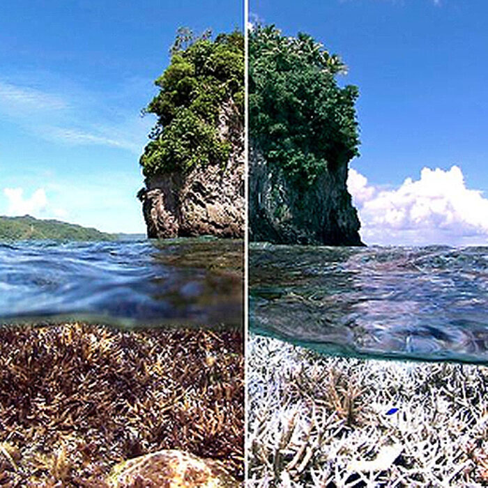 Climate Change 10 year challenge