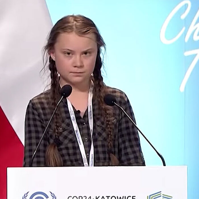 Greta Thunberg speaking to UN Plenary about climate change