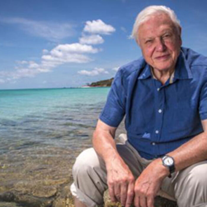 David Attenborough
