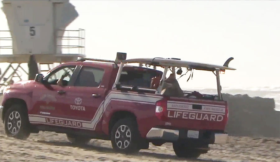 64-year-old Gregg Owens died Wednesday after attempting to rescue his dogs from high surf in San Diego.