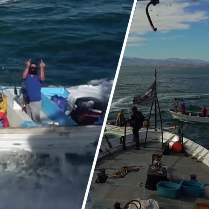 Angry poachers attacked Sea Shepherd's M/V Farley Mowat vessel in the Gulf of California on Wednesday, the organization said.