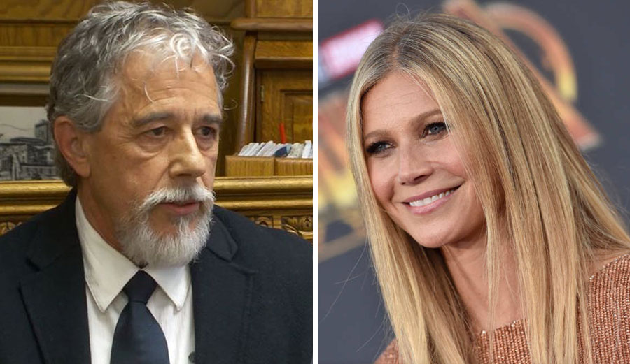 Terry Sanderson suing Gwyneth Paltrow