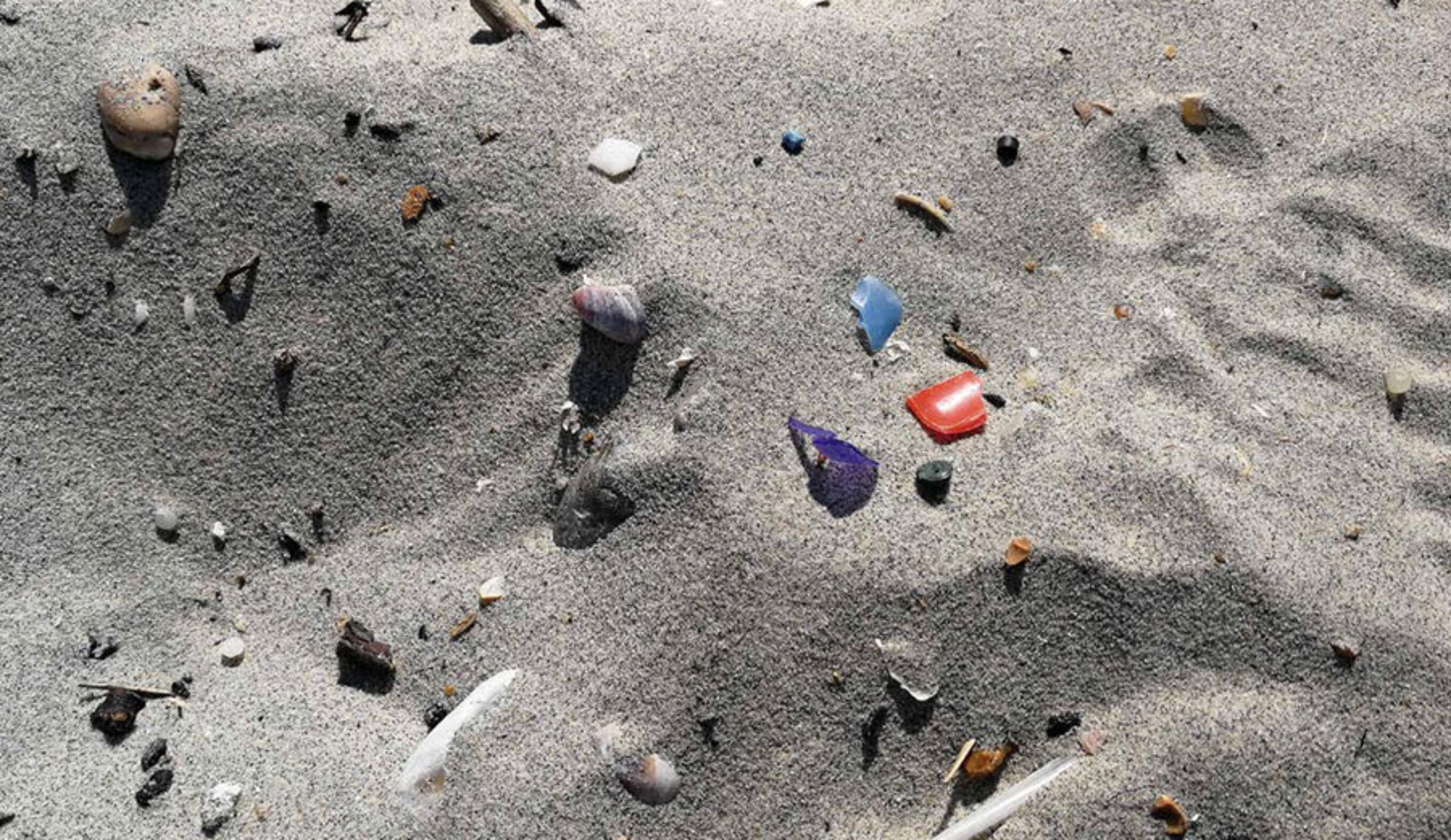 microplastics in sand