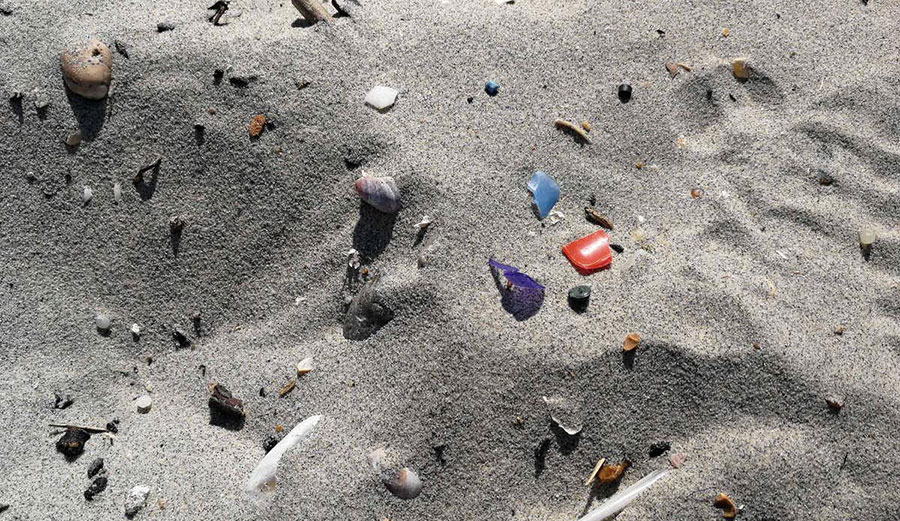 microplastics in sand