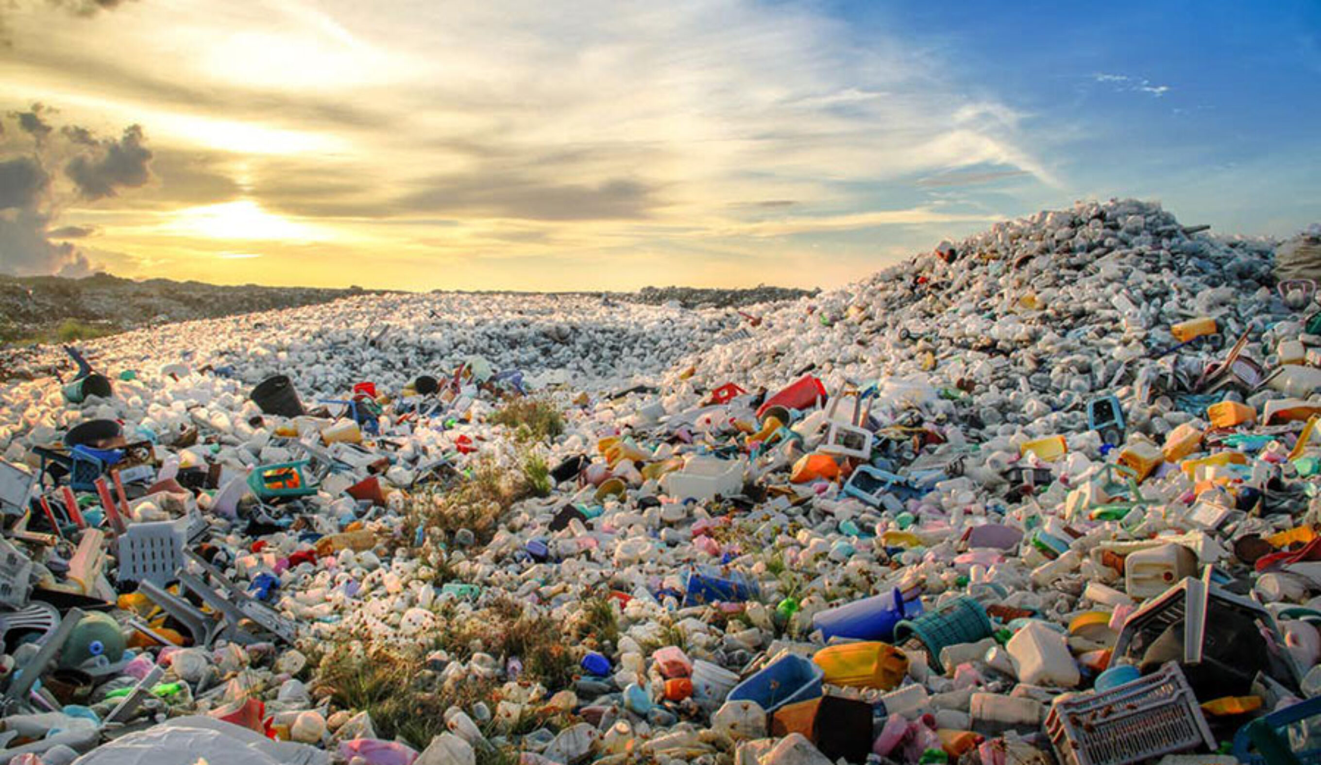 Plastic bottles and other waste at a disposal site
