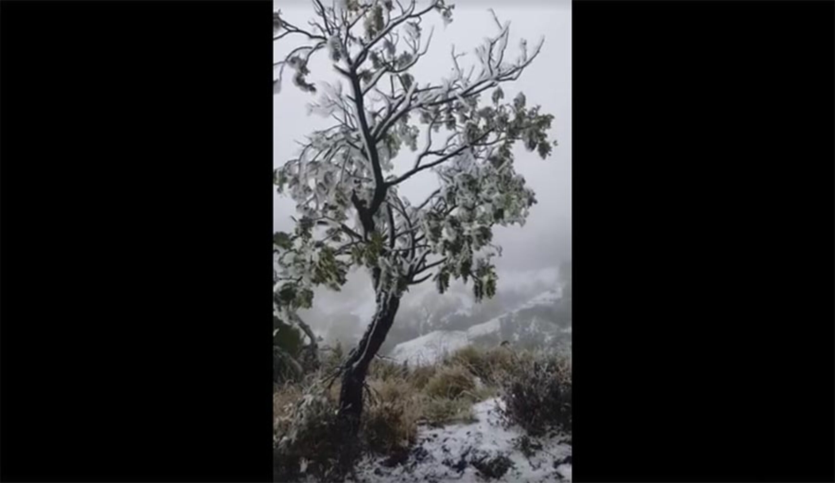 Maui got snow for the first time in years