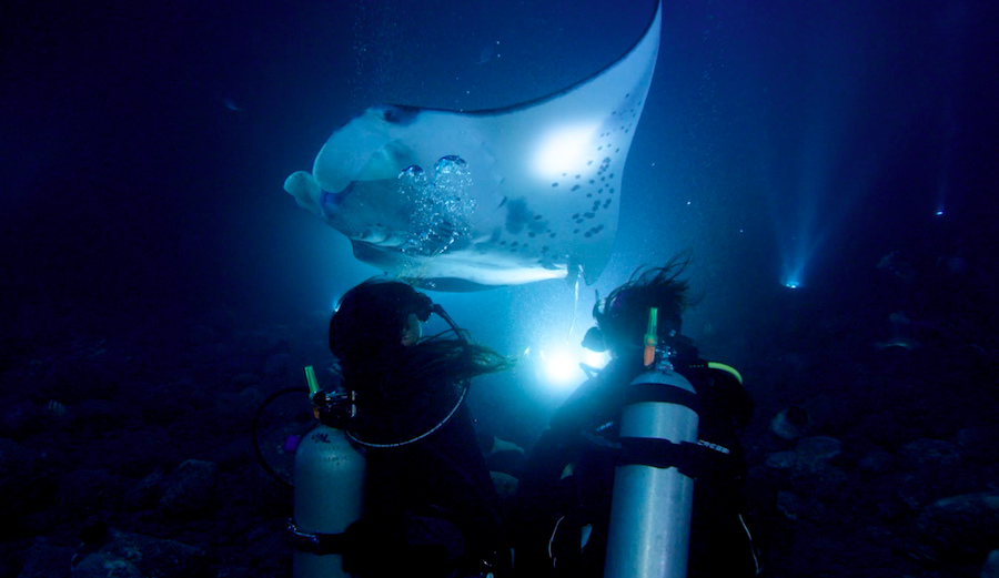 Kimi Werner and Sister Discover an Underwater Manta Rave on First Dive ...