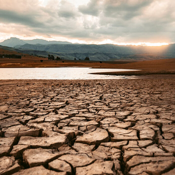 California drought