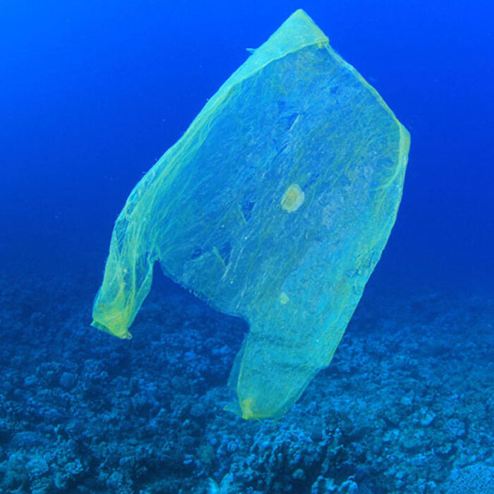 Plastic bag in the ocean