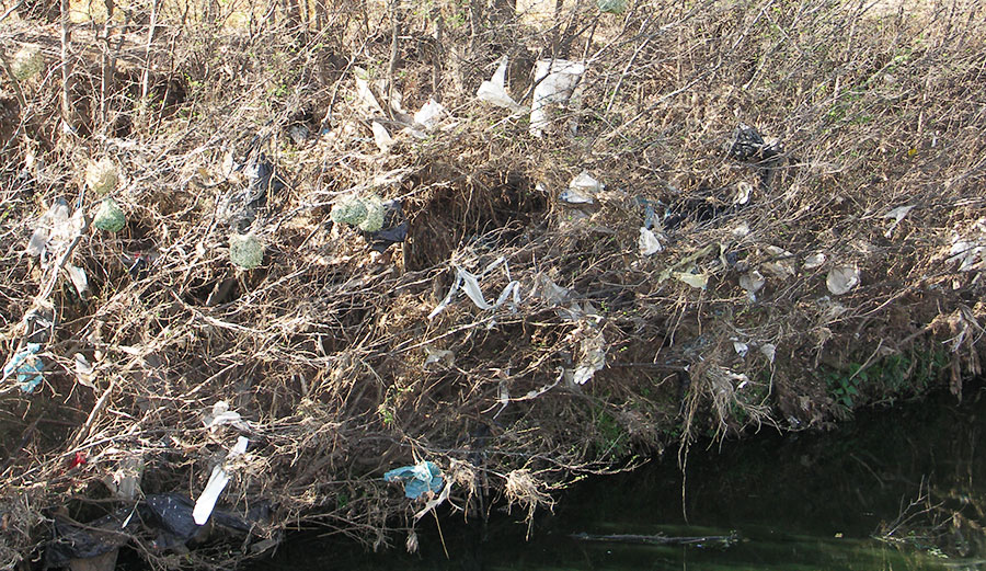 Plastic bag litter along the Jukskei River, Johannesburg, South Africa.