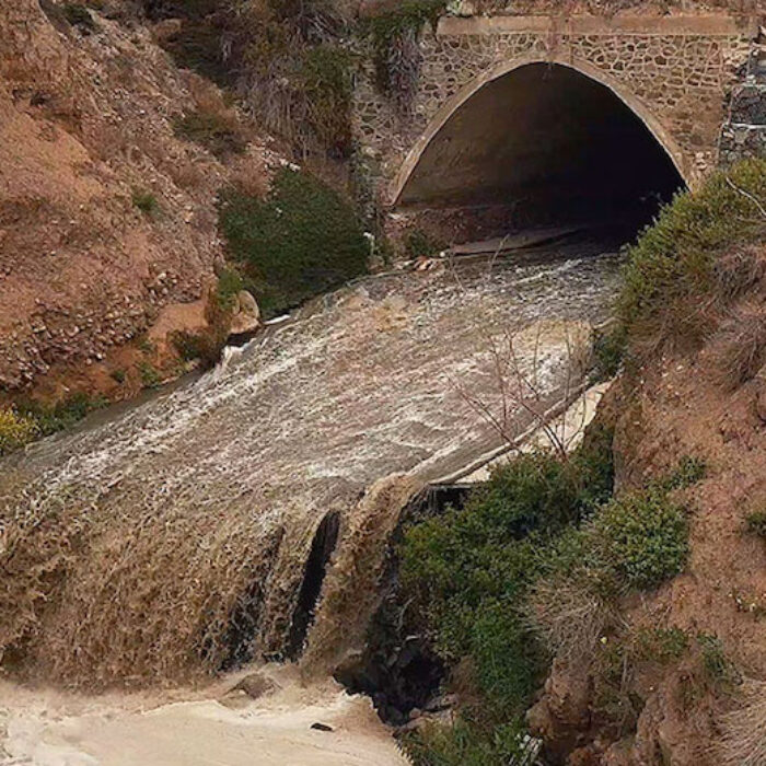 Photo: Courtesy of the Surfrider Foundation