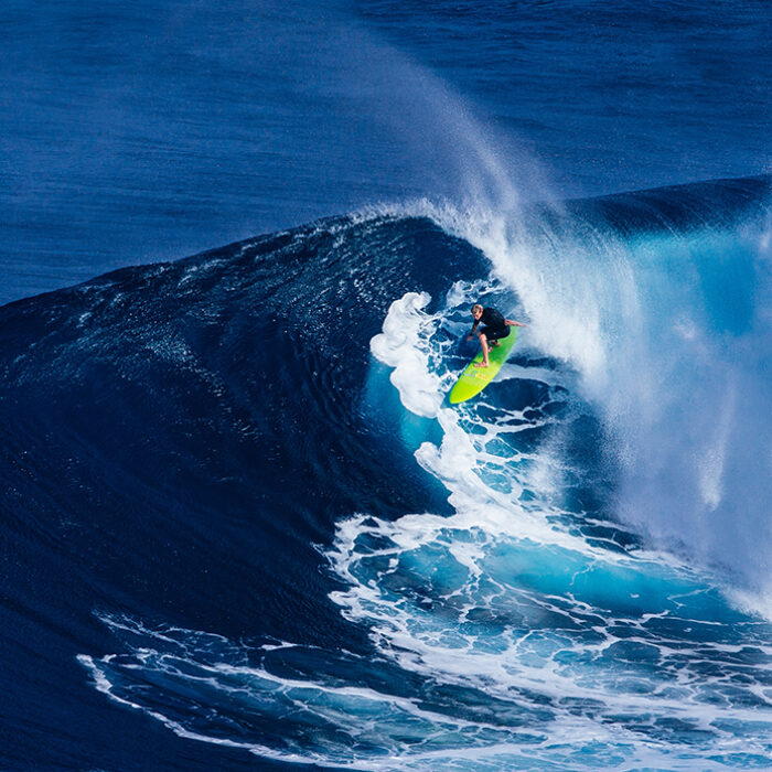 Jaws