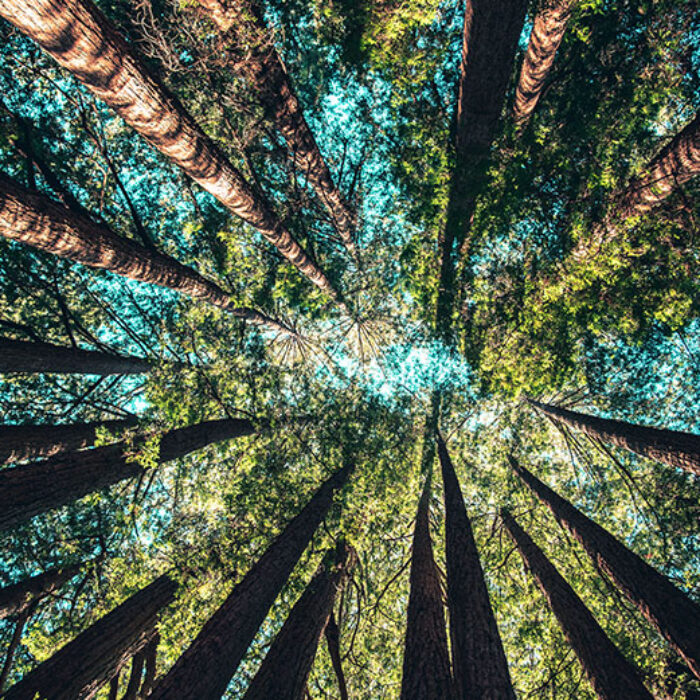 The Circular Economy