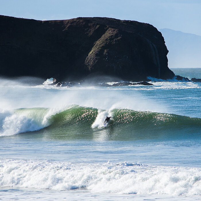 Northern California Gem