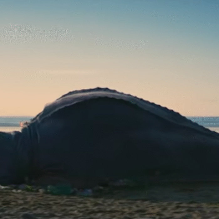 A girl stands next to a mysterious creature that's died from ingesting ocean plastic in this fictional short by Surfers Against Sewage. Photo: Screenshot/Youtube