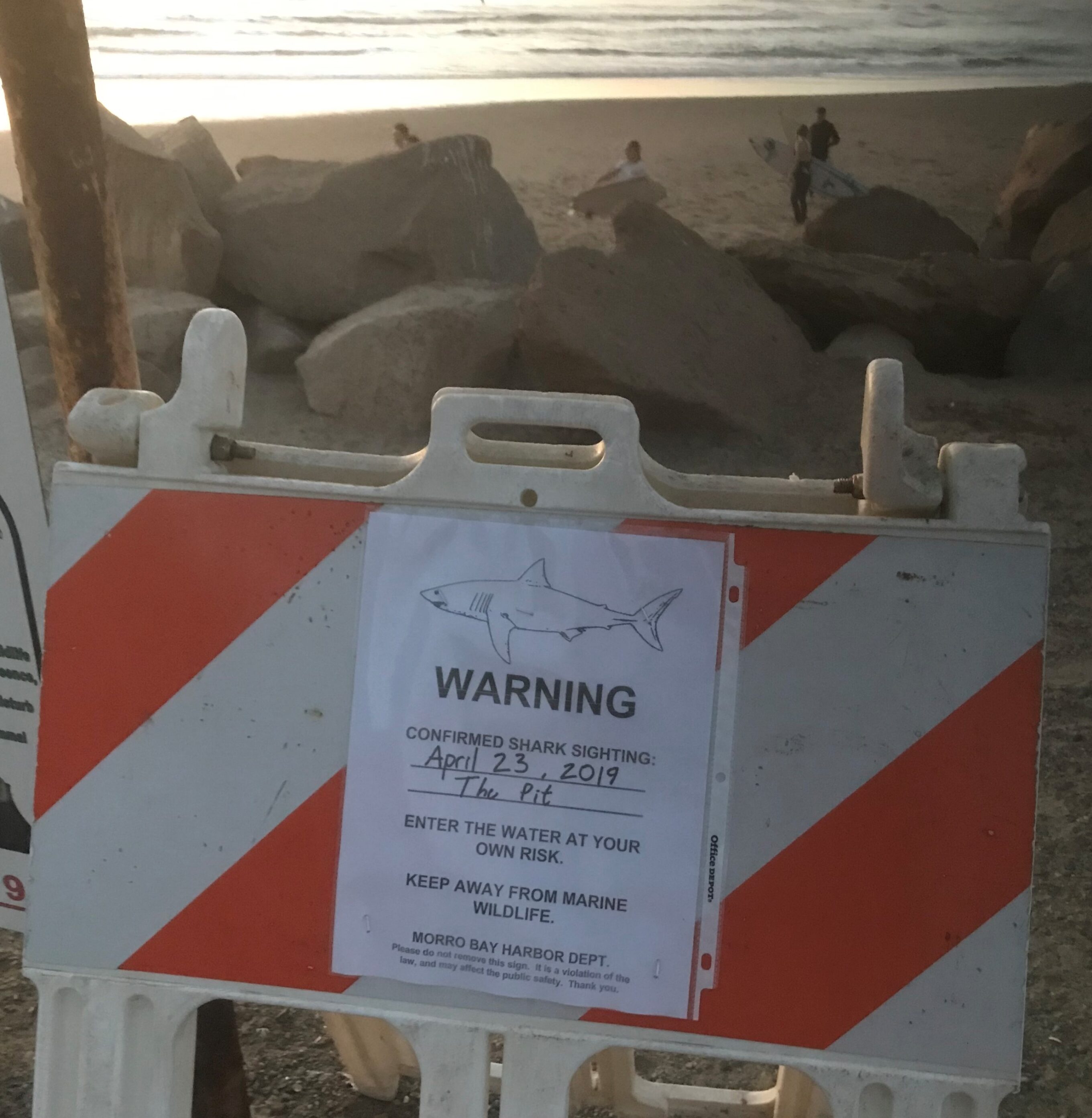 Shark sign