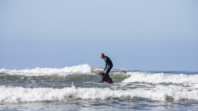 Dog Surfs Longboard Old Man's San Clemente