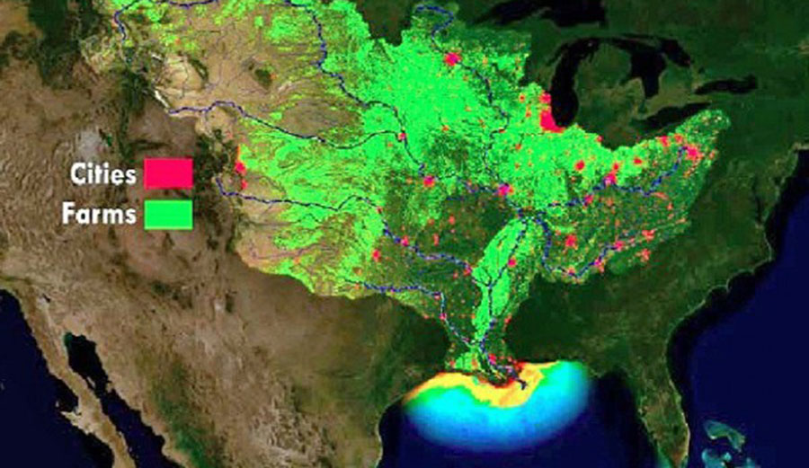 Gulf of Mexico Dead Zone