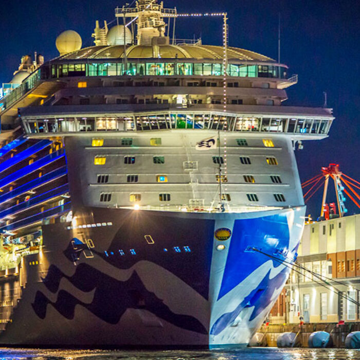 Princess Cruise ship at port