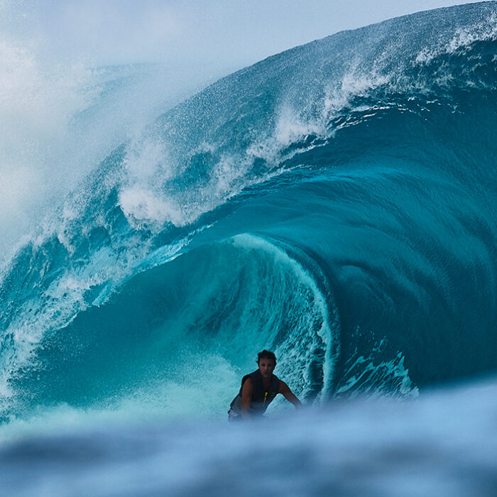 Jonathan Gubbins Chopes