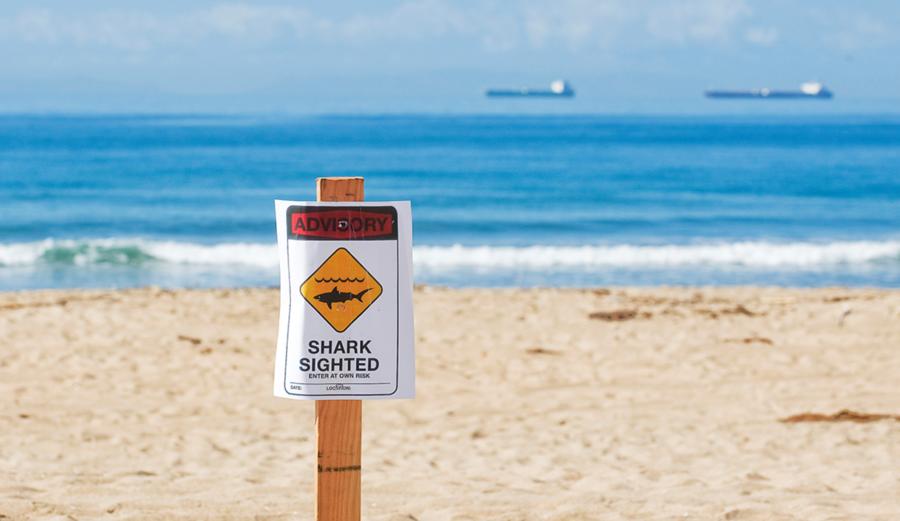 Shark sighted in San Clemente