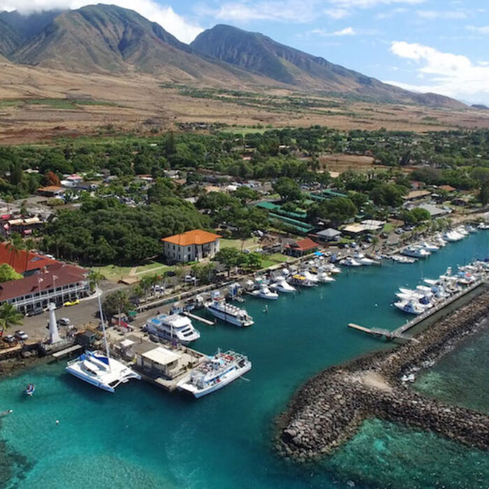 View of Lahaina Town and Harbor