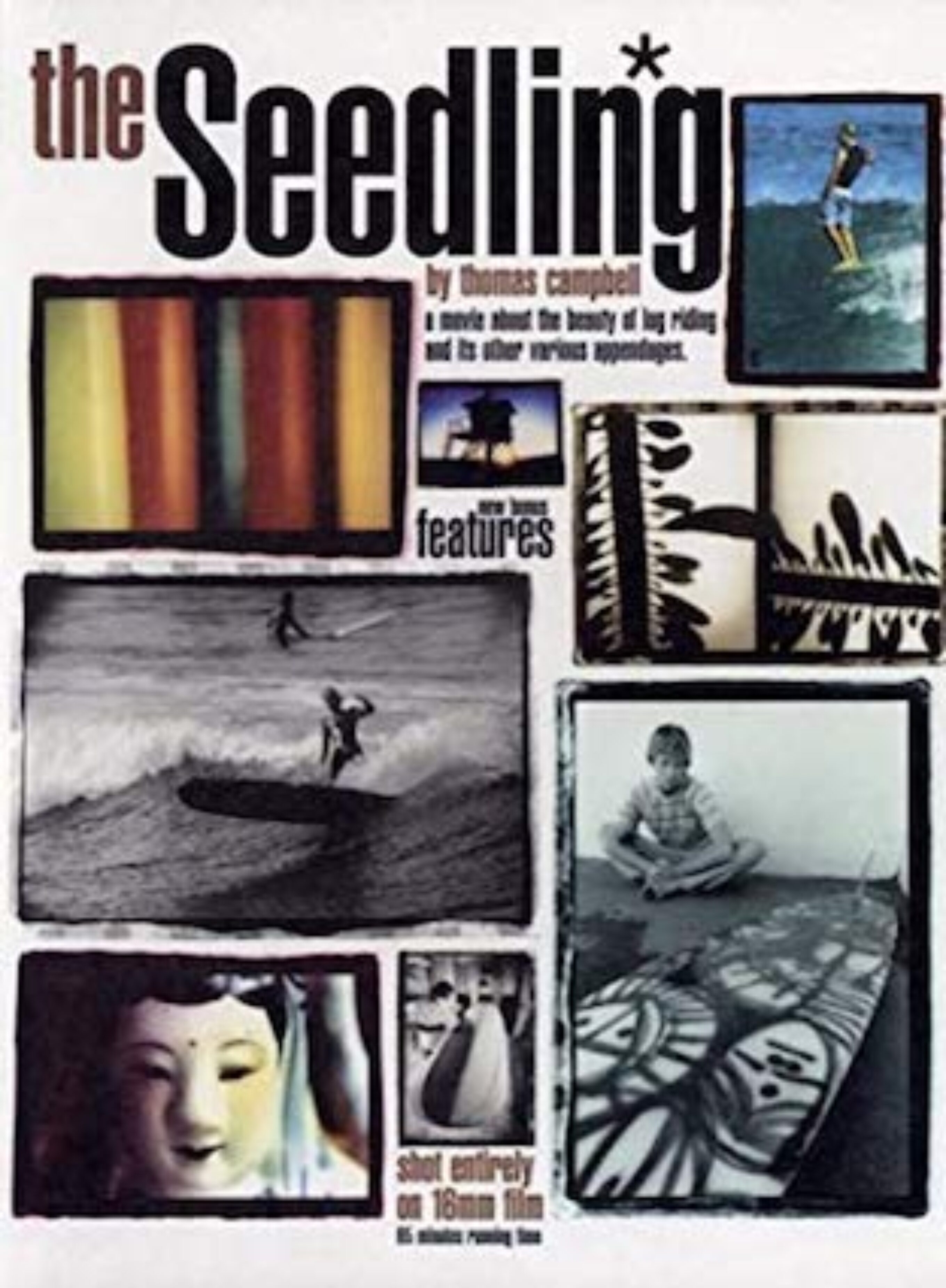 The Seedling surf movie art