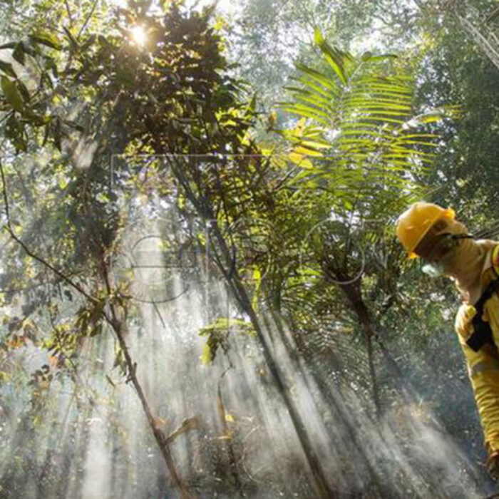 A fireman work to extinguish a fire at a forest near Porto Velho, Brazil
