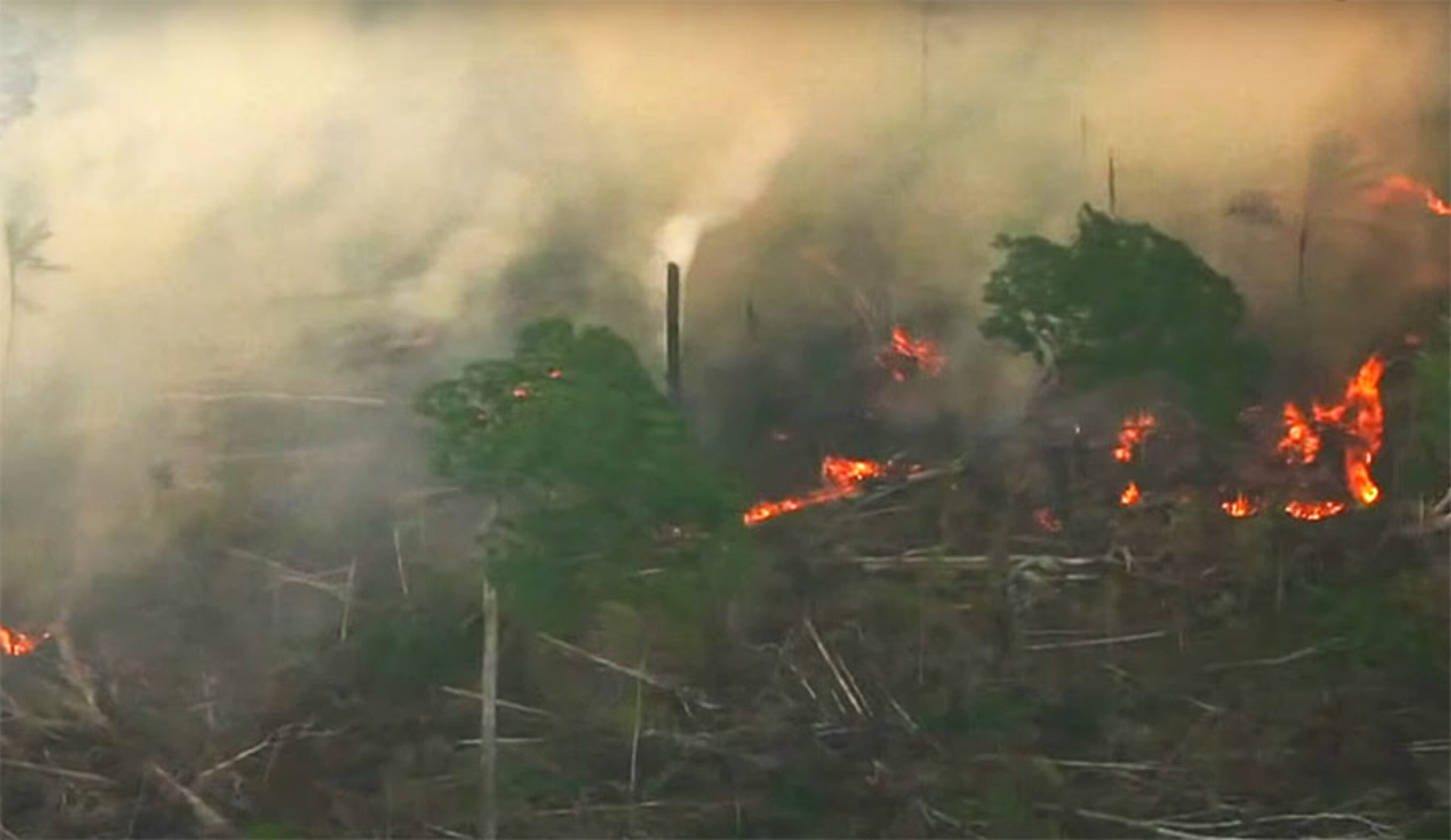 Amazon rainforest on fire
