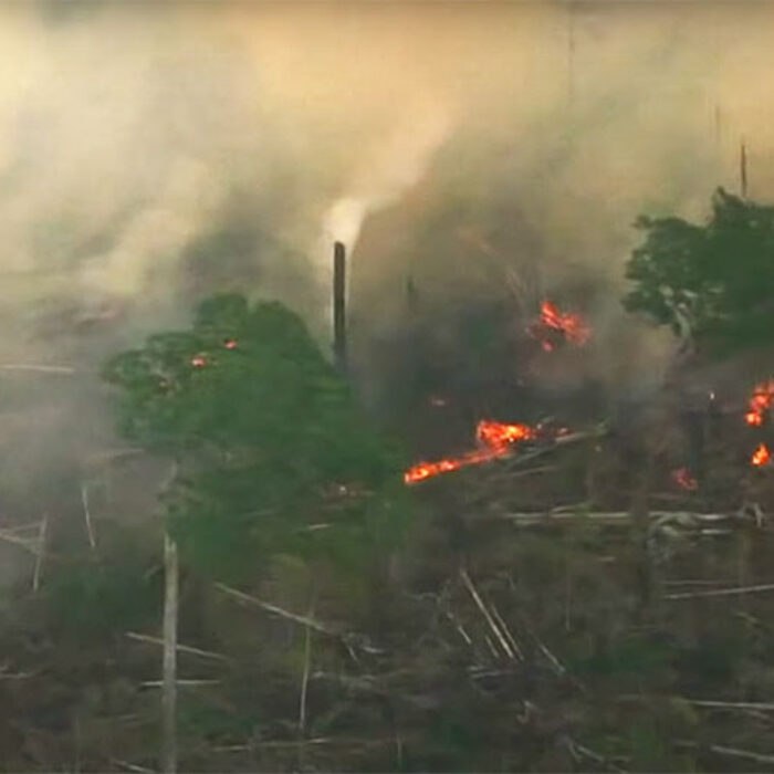 Amazon rainforest on fire