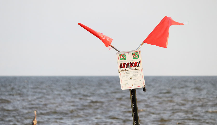 No swimming advisory