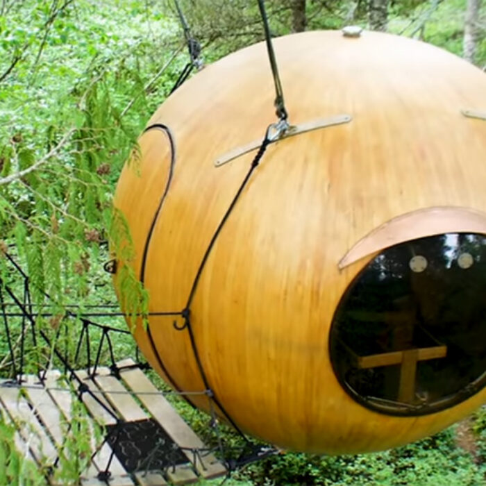 Check Out These Spherical Tree Houses Built for Sustainable Living