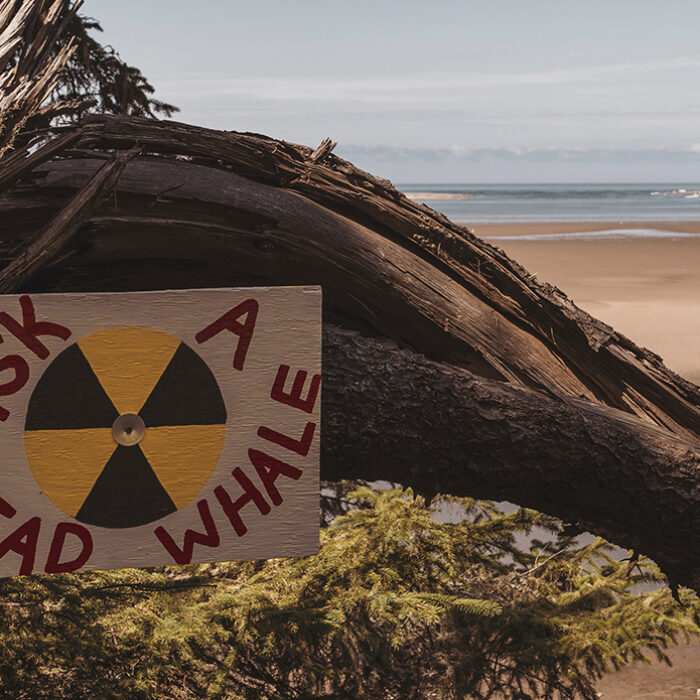 Nuclear Waste
