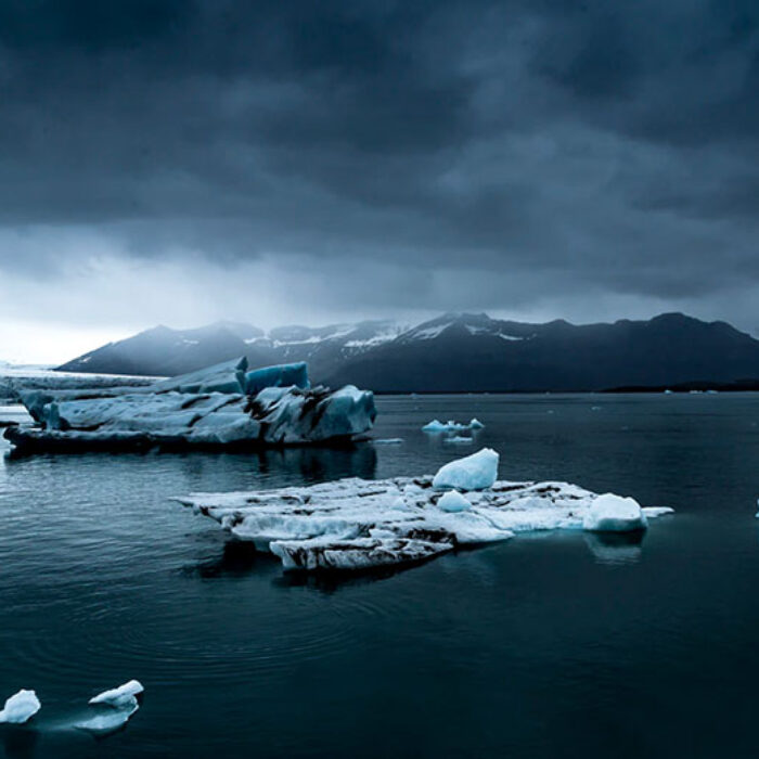 Sea ice