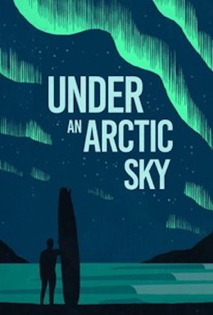 under an arctic sky