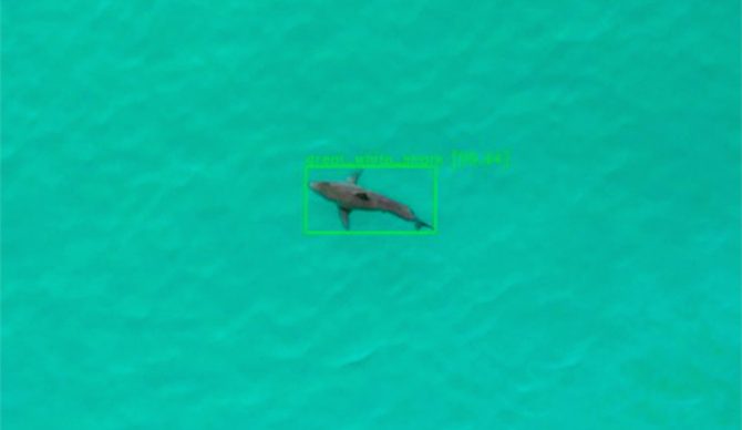 salesforce einstein, sharkeye, artificial intelligence,