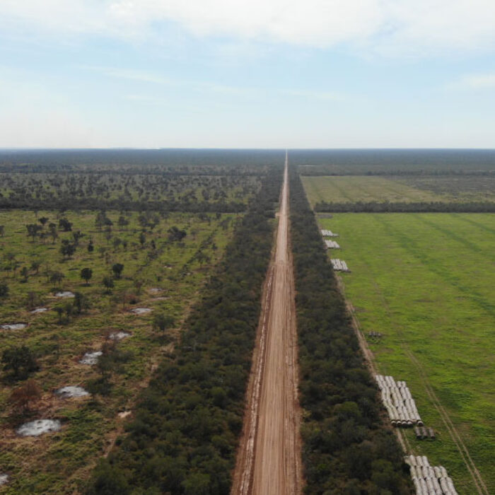 The Paraguayan Chaco,
