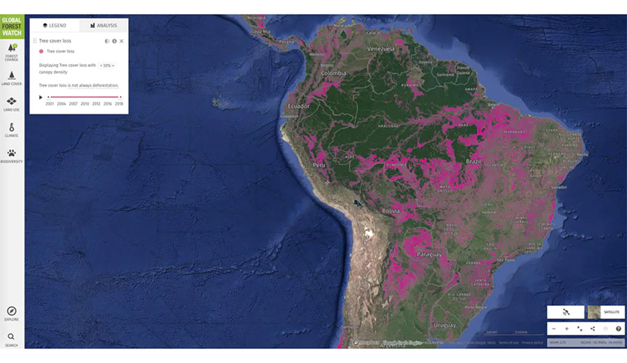 Deforestation in South America since 2001