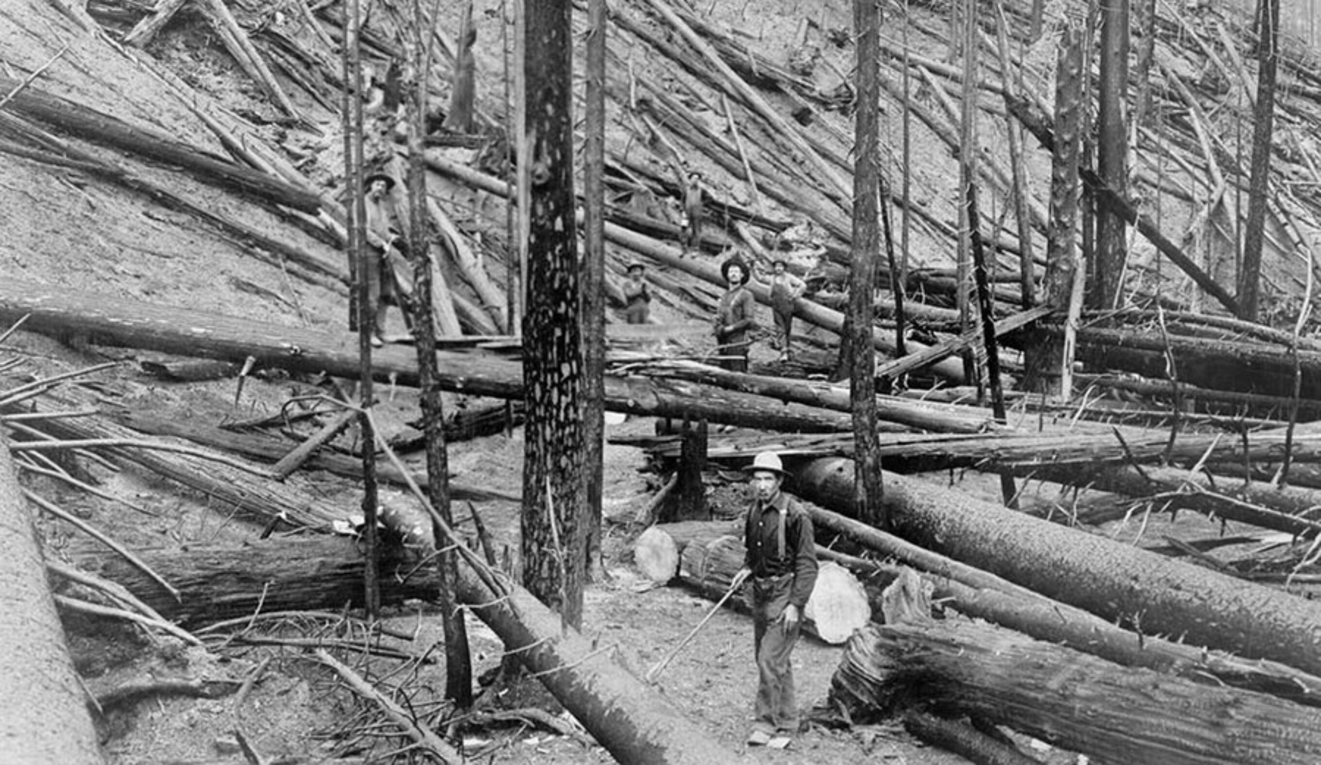 The Great Fire of 1910, 