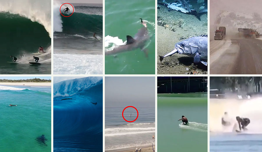 Top Ten viral videos of 2019