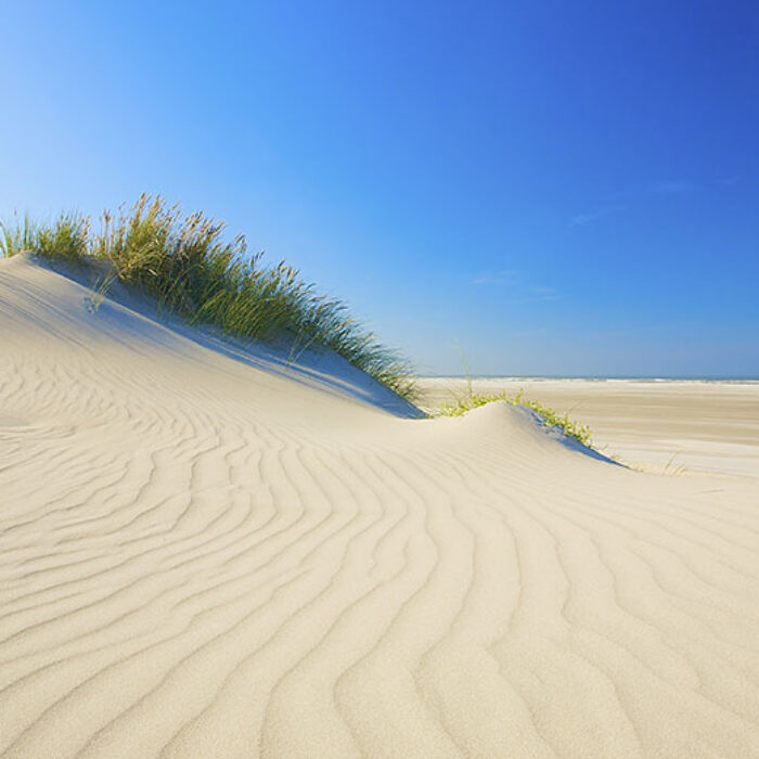 Beach sand