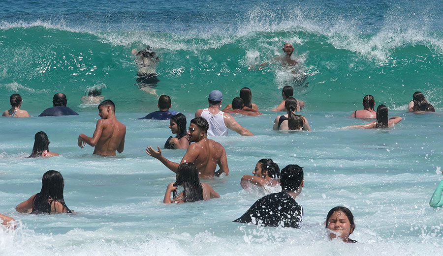 New research says there is no reliable evidence that shark nets protect swimmers. 