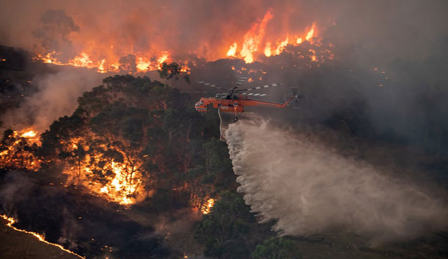 Brushfire in Australia
