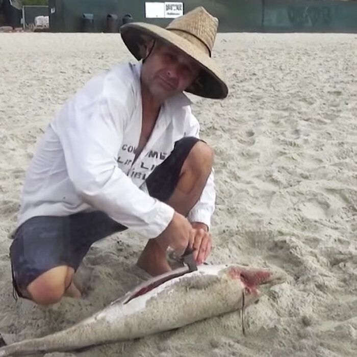 Gary Golding ate a dead baby dolphin