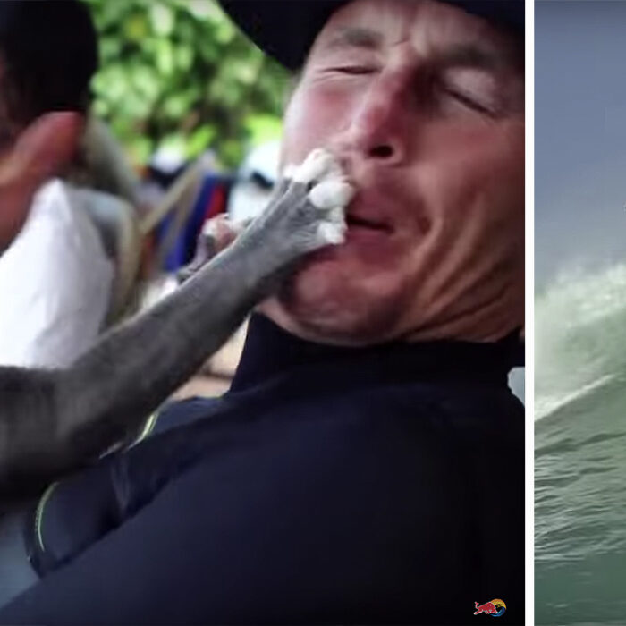 red bull, jamie o'brien, who is j.o.b., youtube,