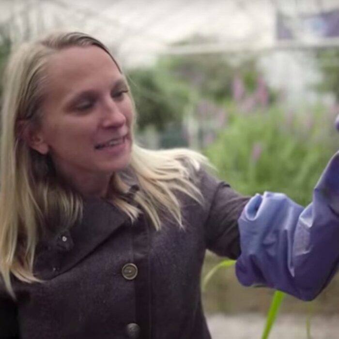 Take a Tour of a Sustainable Greenhouse That Cleans Human Waste Out of Water