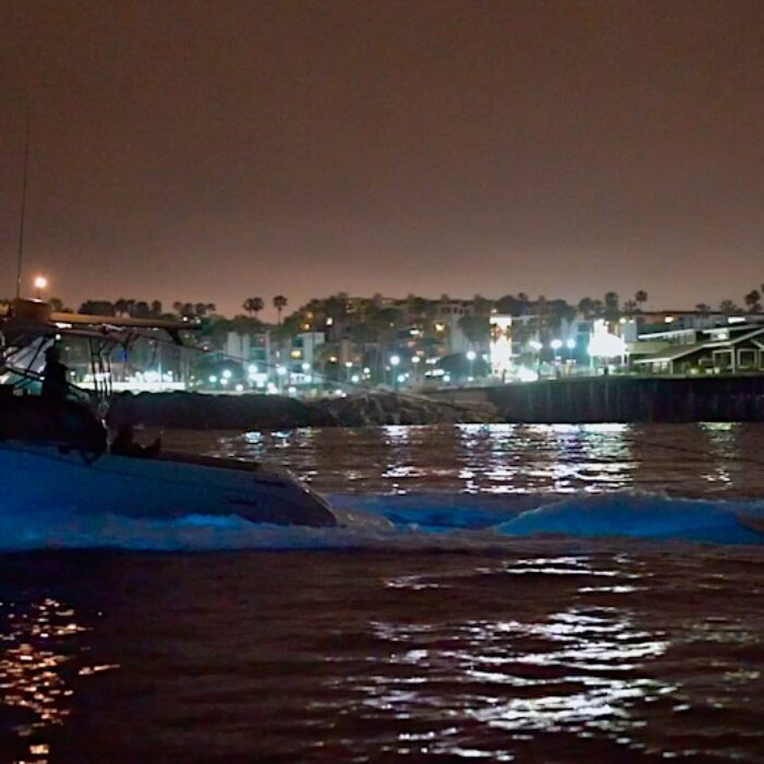 Surfers Explore Beauty of Bioluminescence via Boat (Which Was Probably the Best Way)