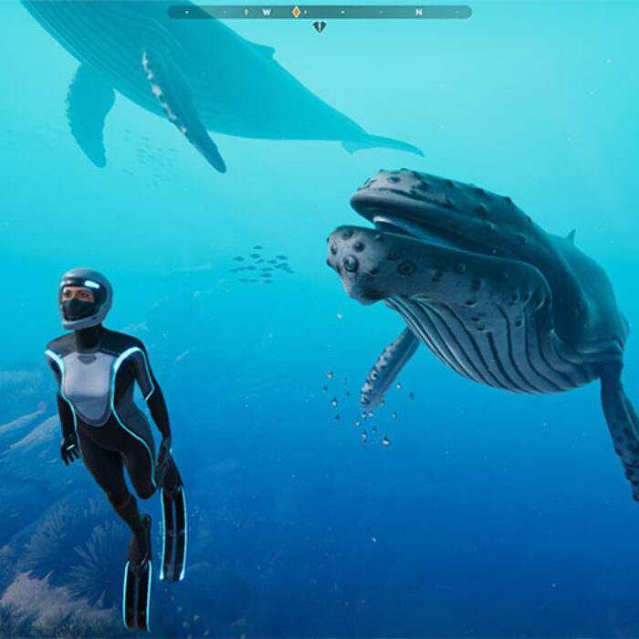 Beyond Blue video game